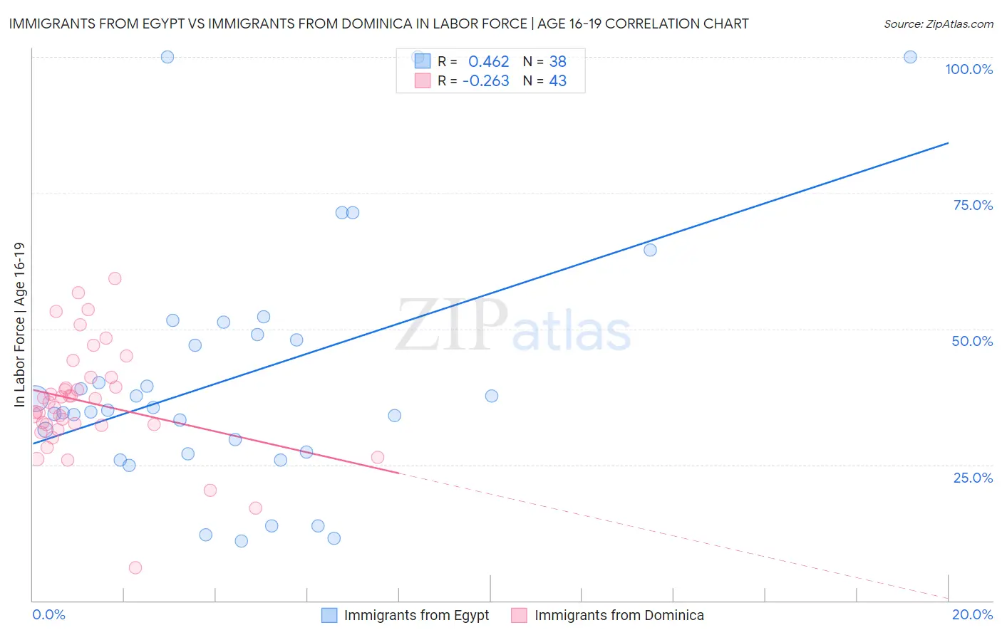 Immigrants from Egypt vs Immigrants from Dominica In Labor Force | Age 16-19