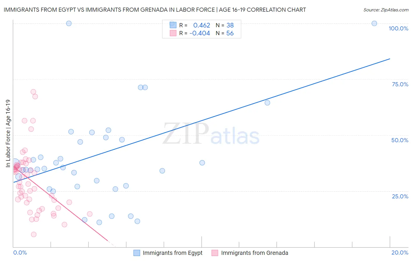 Immigrants from Egypt vs Immigrants from Grenada In Labor Force | Age 16-19