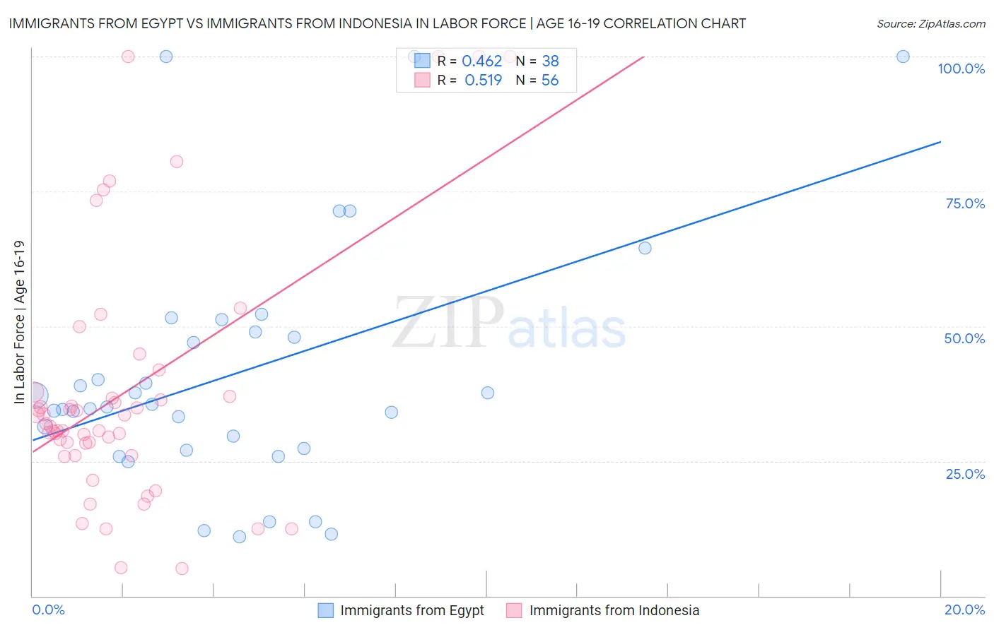 Immigrants from Egypt vs Immigrants from Indonesia In Labor Force | Age 16-19