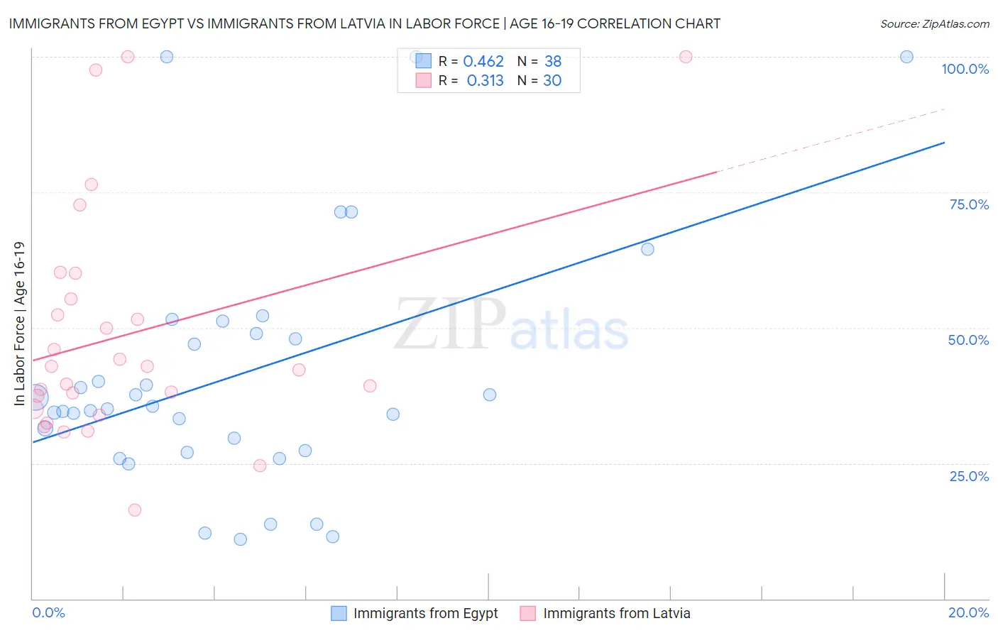 Immigrants from Egypt vs Immigrants from Latvia In Labor Force | Age 16-19