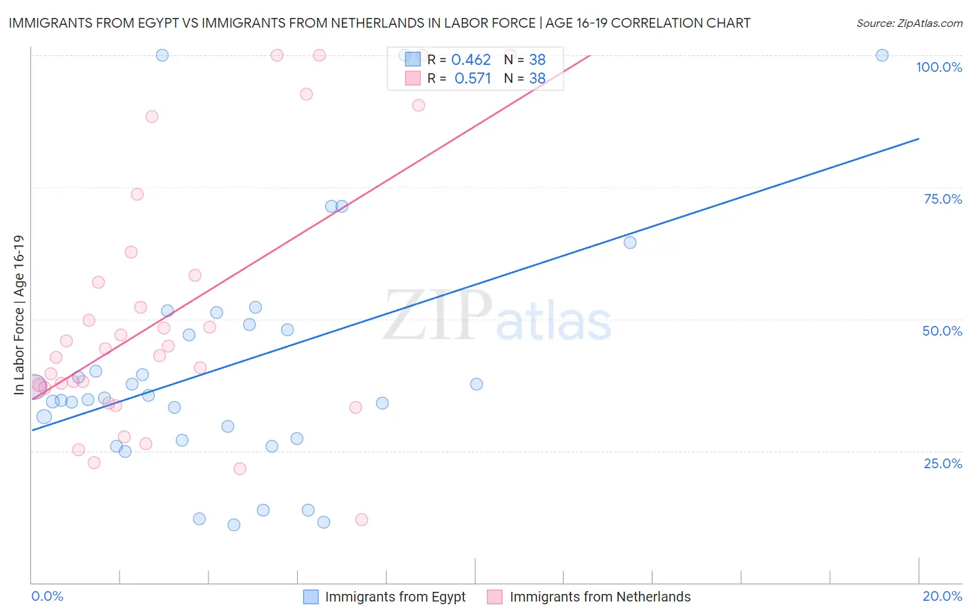 Immigrants from Egypt vs Immigrants from Netherlands In Labor Force | Age 16-19