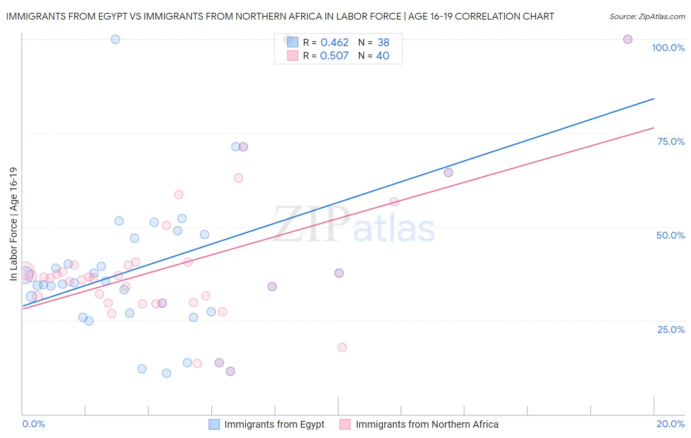 Immigrants from Egypt vs Immigrants from Northern Africa In Labor Force | Age 16-19