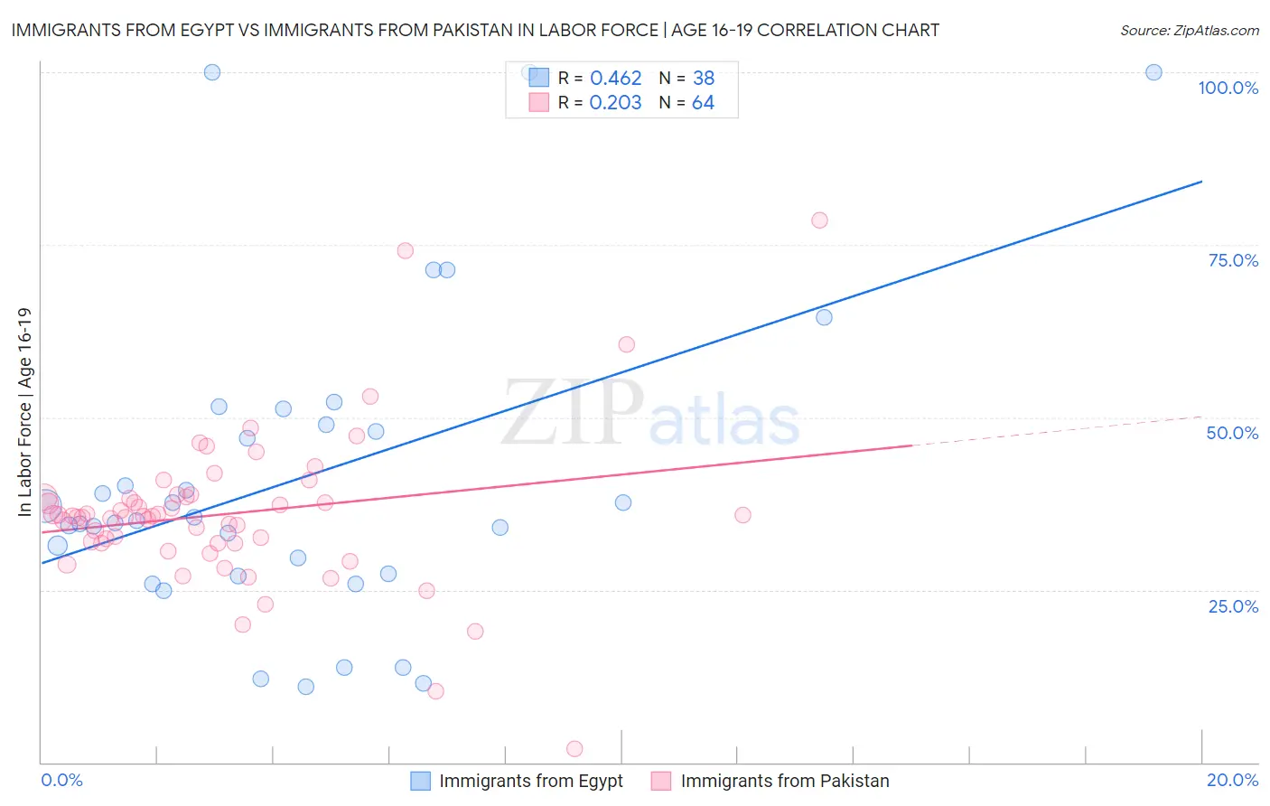 Immigrants from Egypt vs Immigrants from Pakistan In Labor Force | Age 16-19