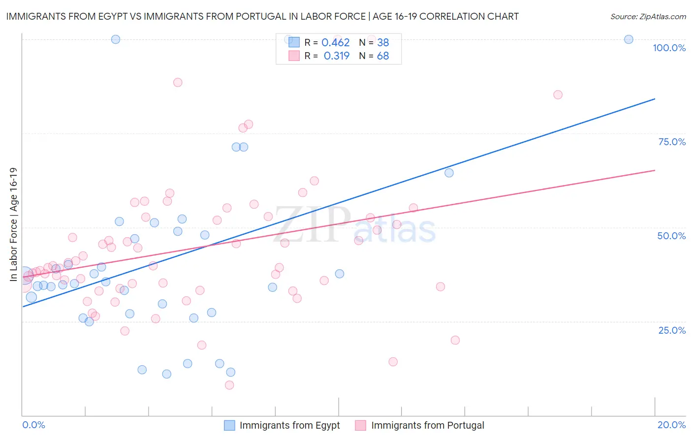 Immigrants from Egypt vs Immigrants from Portugal In Labor Force | Age 16-19