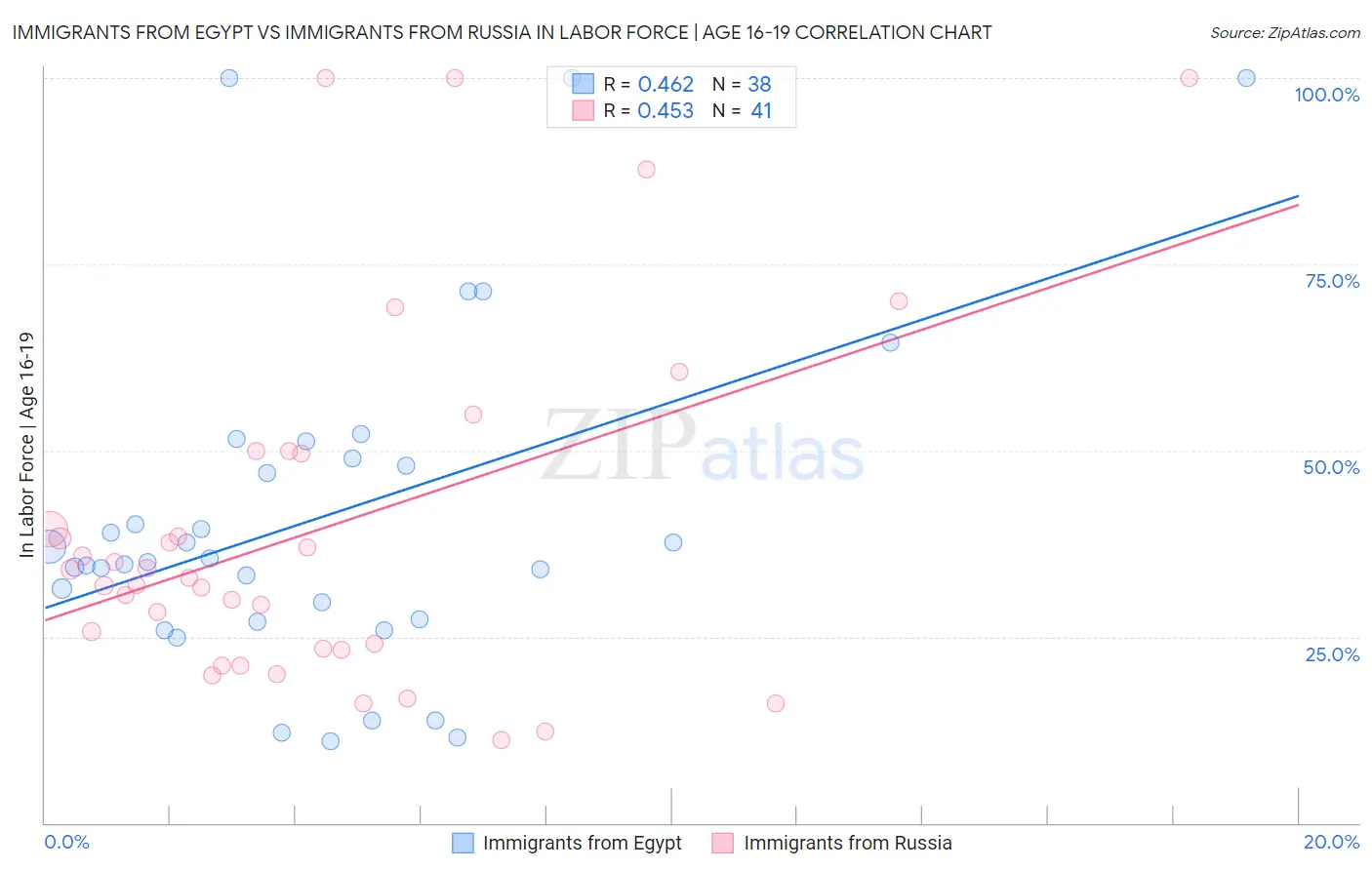 Immigrants from Egypt vs Immigrants from Russia In Labor Force | Age 16-19