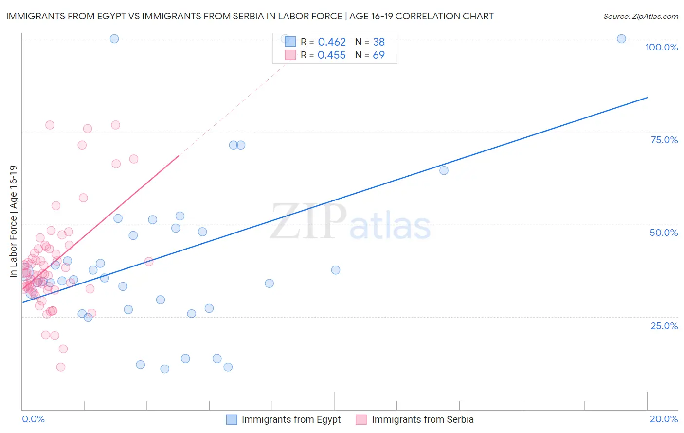 Immigrants from Egypt vs Immigrants from Serbia In Labor Force | Age 16-19