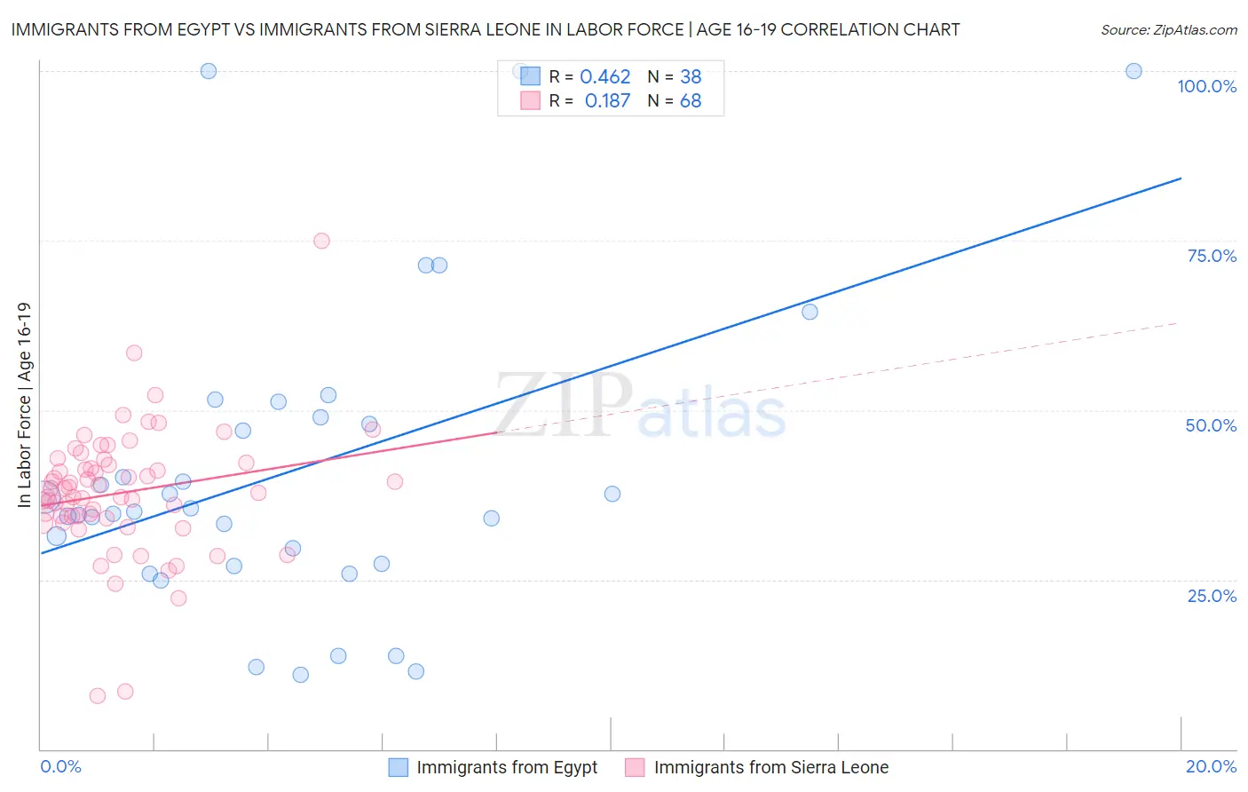 Immigrants from Egypt vs Immigrants from Sierra Leone In Labor Force | Age 16-19
