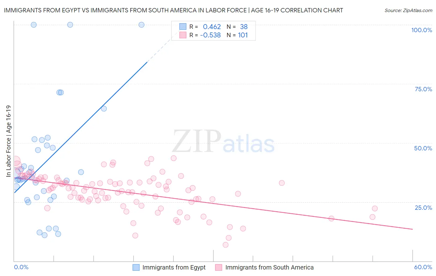 Immigrants from Egypt vs Immigrants from South America In Labor Force | Age 16-19