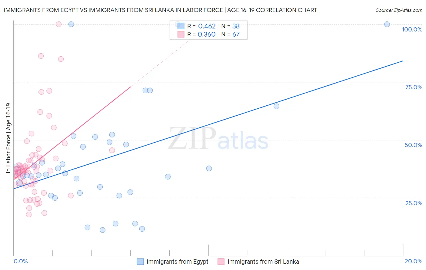 Immigrants from Egypt vs Immigrants from Sri Lanka In Labor Force | Age 16-19
