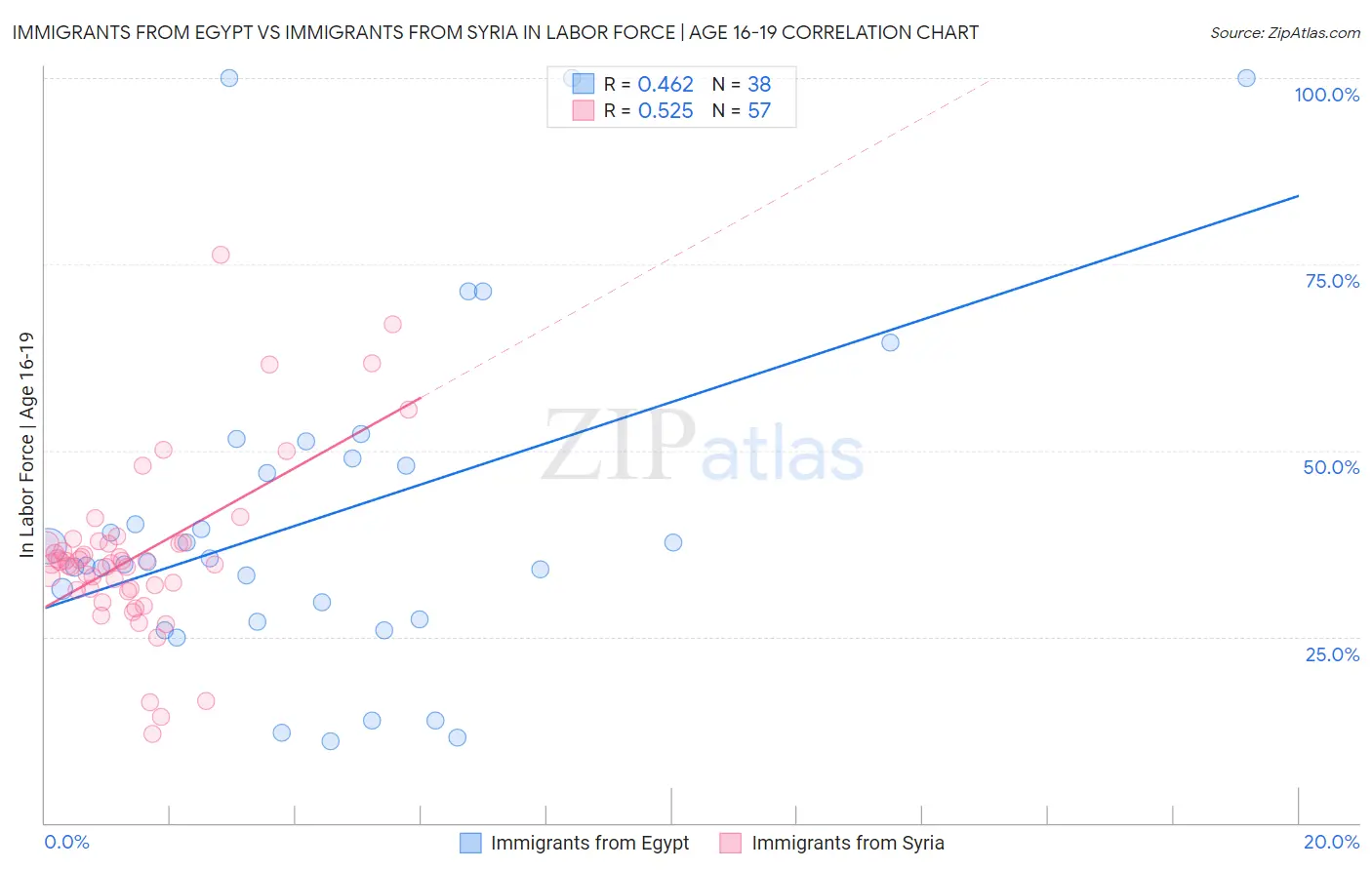 Immigrants from Egypt vs Immigrants from Syria In Labor Force | Age 16-19