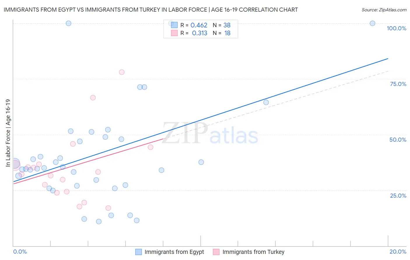 Immigrants from Egypt vs Immigrants from Turkey In Labor Force | Age 16-19