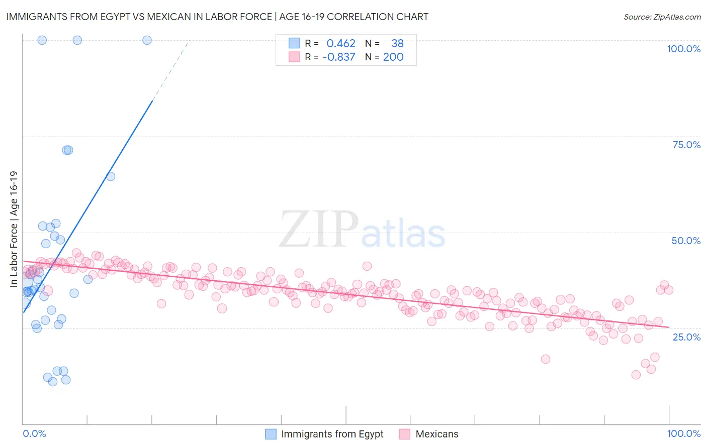 Immigrants from Egypt vs Mexican In Labor Force | Age 16-19
