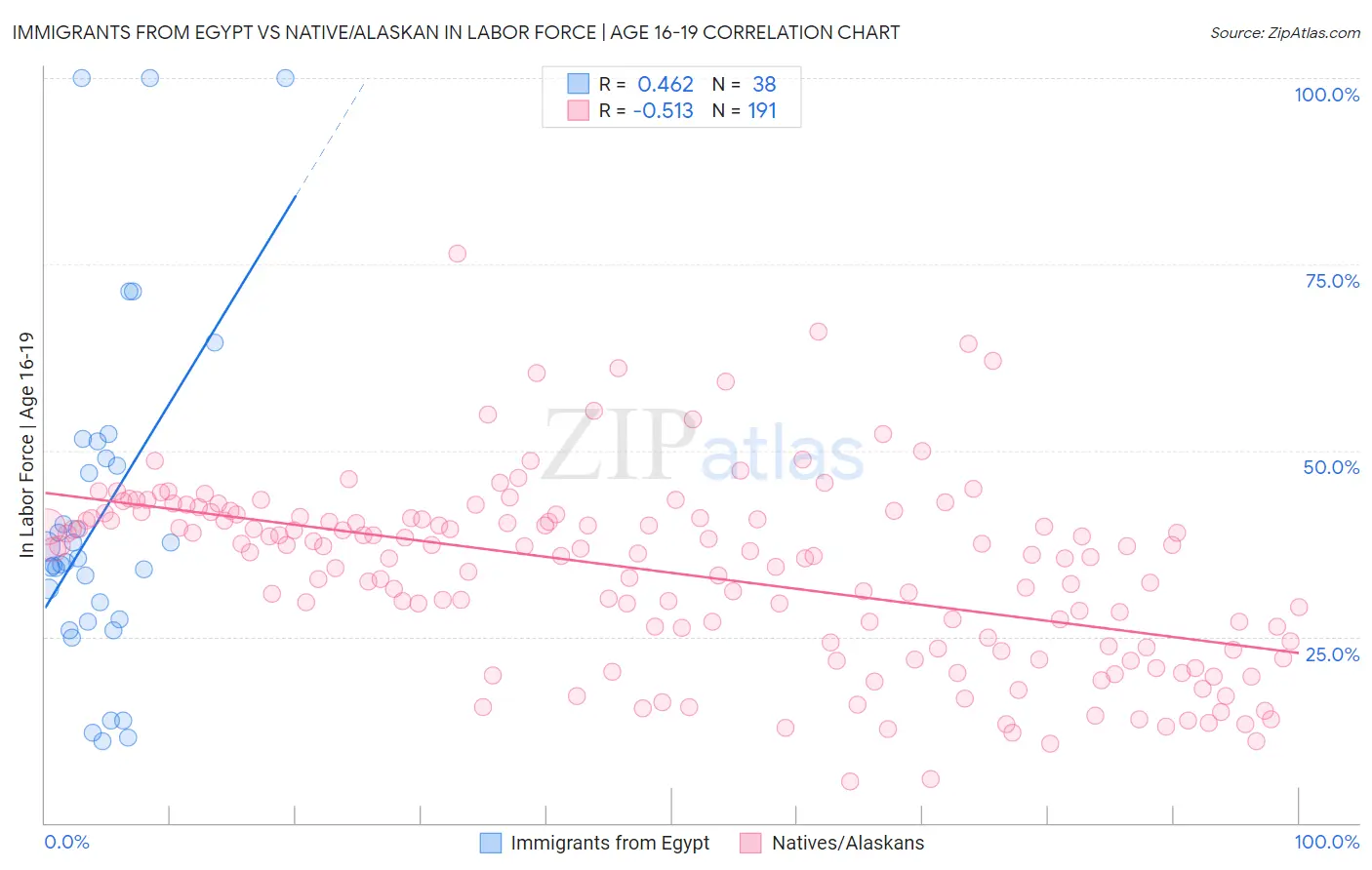 Immigrants from Egypt vs Native/Alaskan In Labor Force | Age 16-19