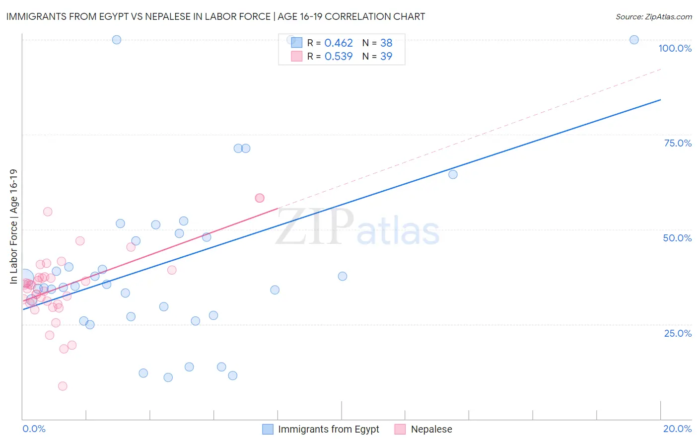 Immigrants from Egypt vs Nepalese In Labor Force | Age 16-19
