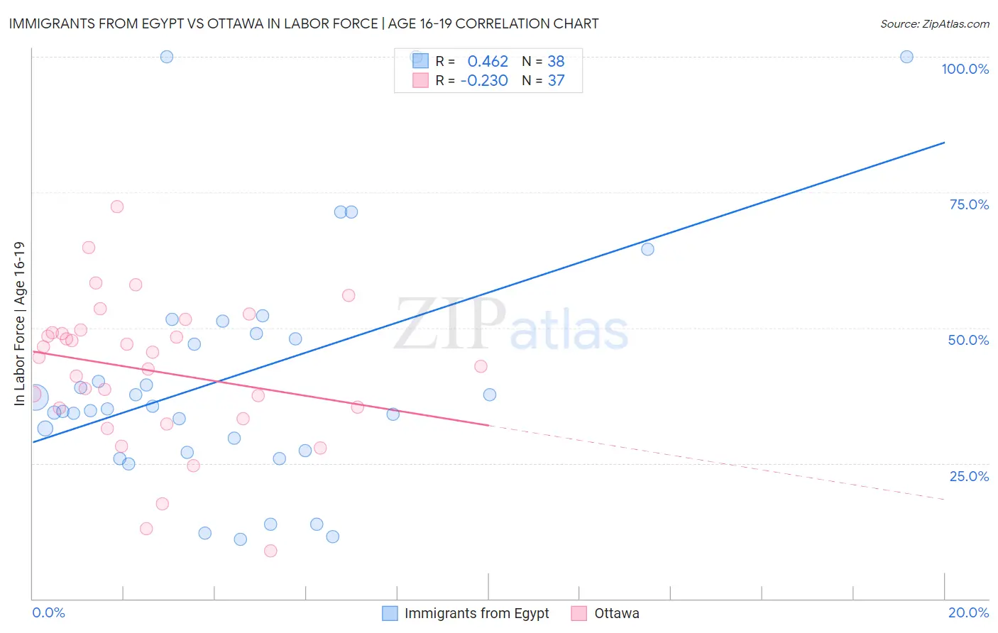 Immigrants from Egypt vs Ottawa In Labor Force | Age 16-19