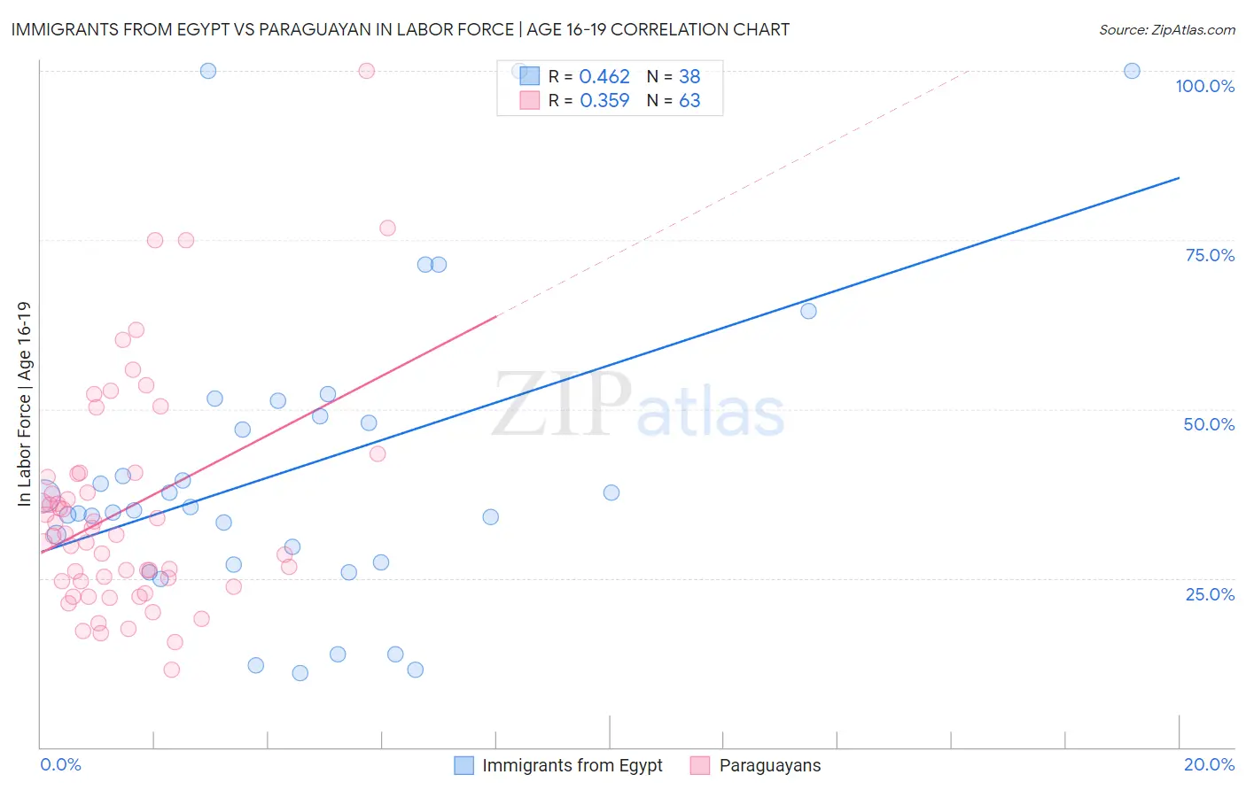 Immigrants from Egypt vs Paraguayan In Labor Force | Age 16-19