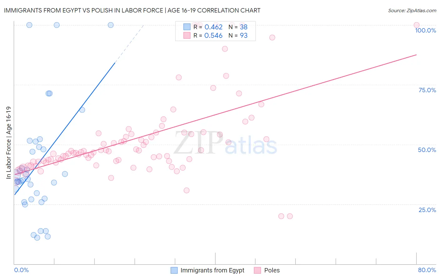 Immigrants from Egypt vs Polish In Labor Force | Age 16-19