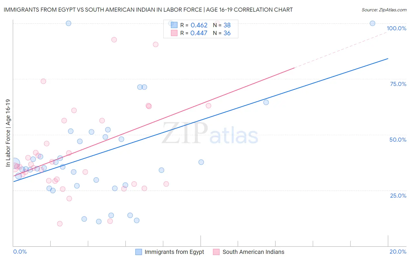 Immigrants from Egypt vs South American Indian In Labor Force | Age 16-19