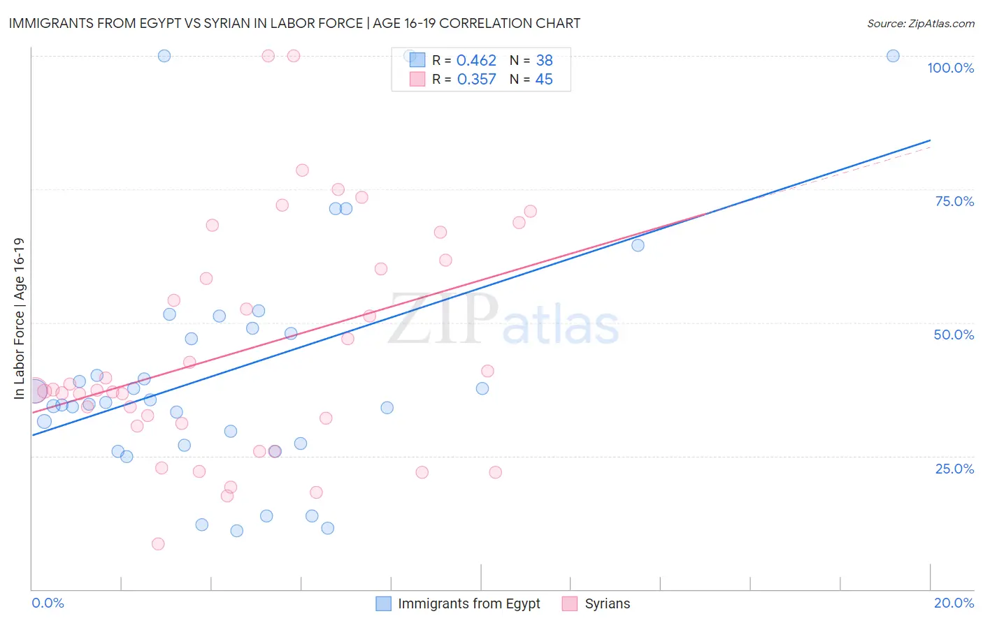 Immigrants from Egypt vs Syrian In Labor Force | Age 16-19