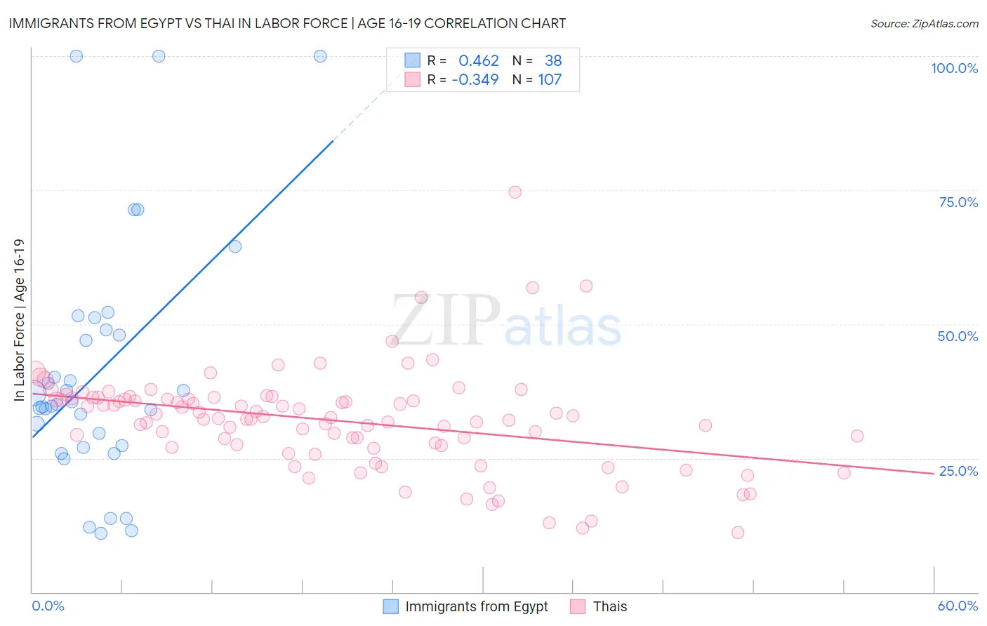 Immigrants from Egypt vs Thai In Labor Force | Age 16-19