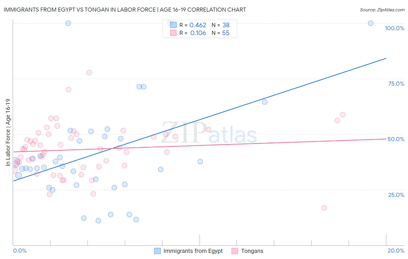 Immigrants from Egypt vs Tongan In Labor Force | Age 16-19