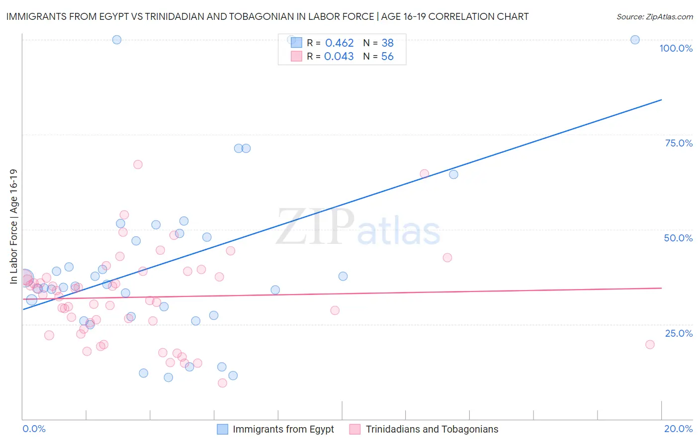 Immigrants from Egypt vs Trinidadian and Tobagonian In Labor Force | Age 16-19
