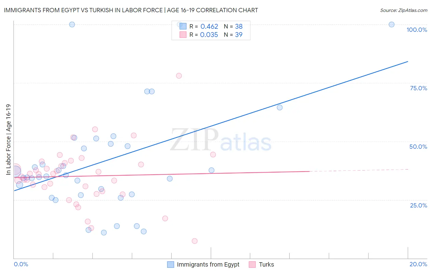 Immigrants from Egypt vs Turkish In Labor Force | Age 16-19