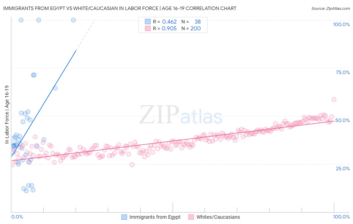 Immigrants from Egypt vs White/Caucasian In Labor Force | Age 16-19
