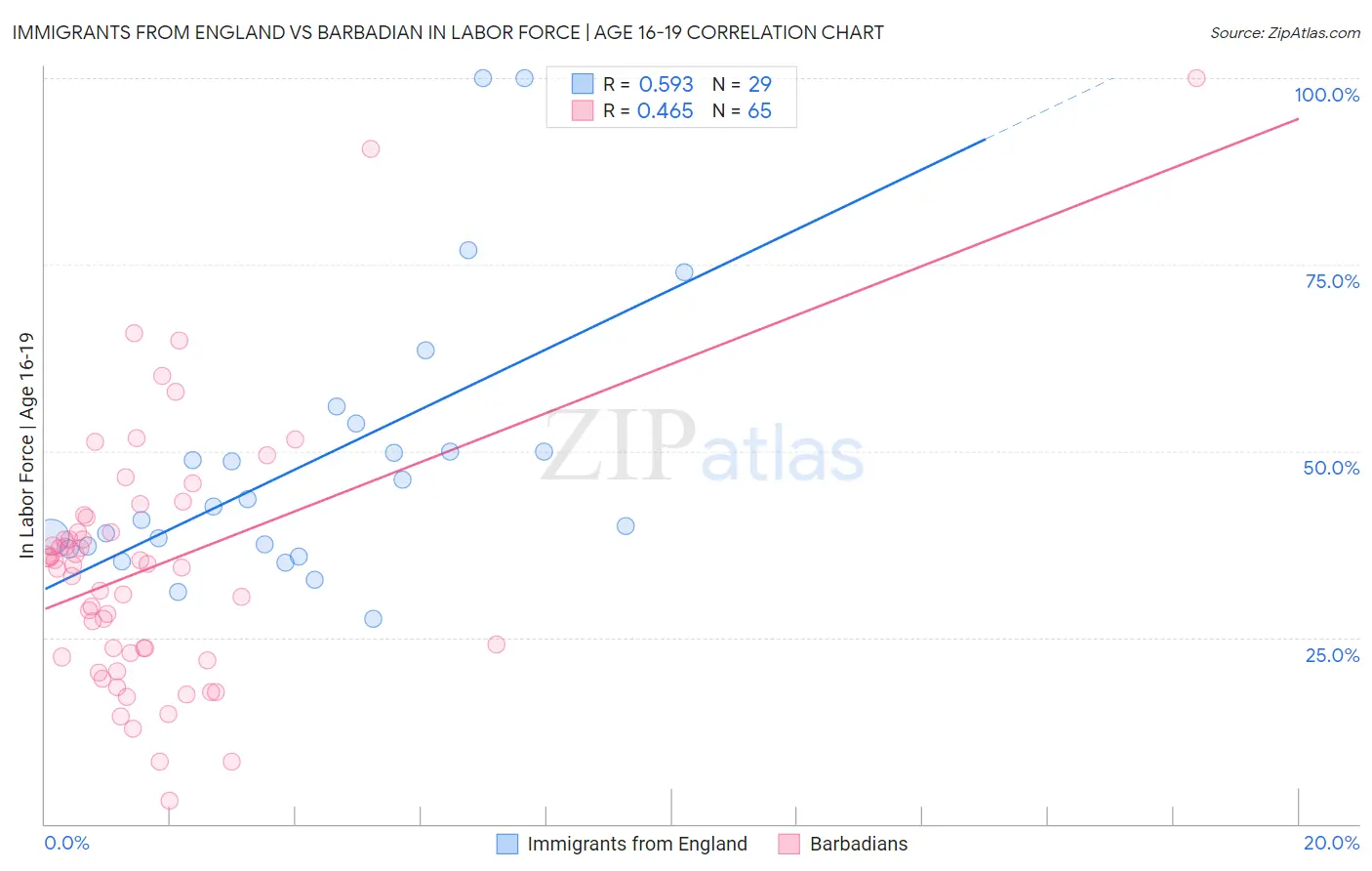 Immigrants from England vs Barbadian In Labor Force | Age 16-19