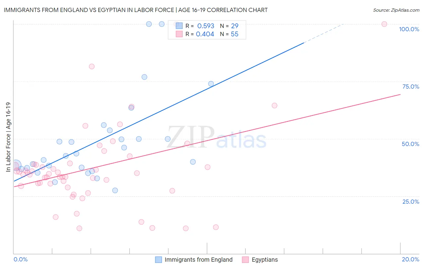 Immigrants from England vs Egyptian In Labor Force | Age 16-19