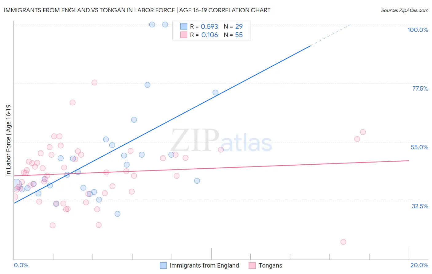 Immigrants from England vs Tongan In Labor Force | Age 16-19