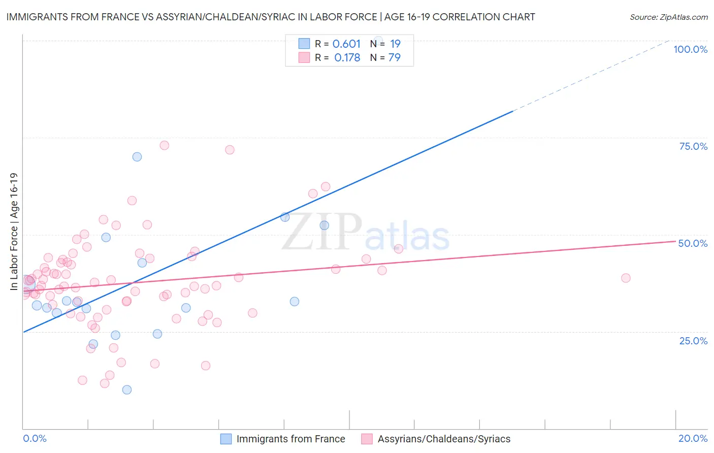 Immigrants from France vs Assyrian/Chaldean/Syriac In Labor Force | Age 16-19