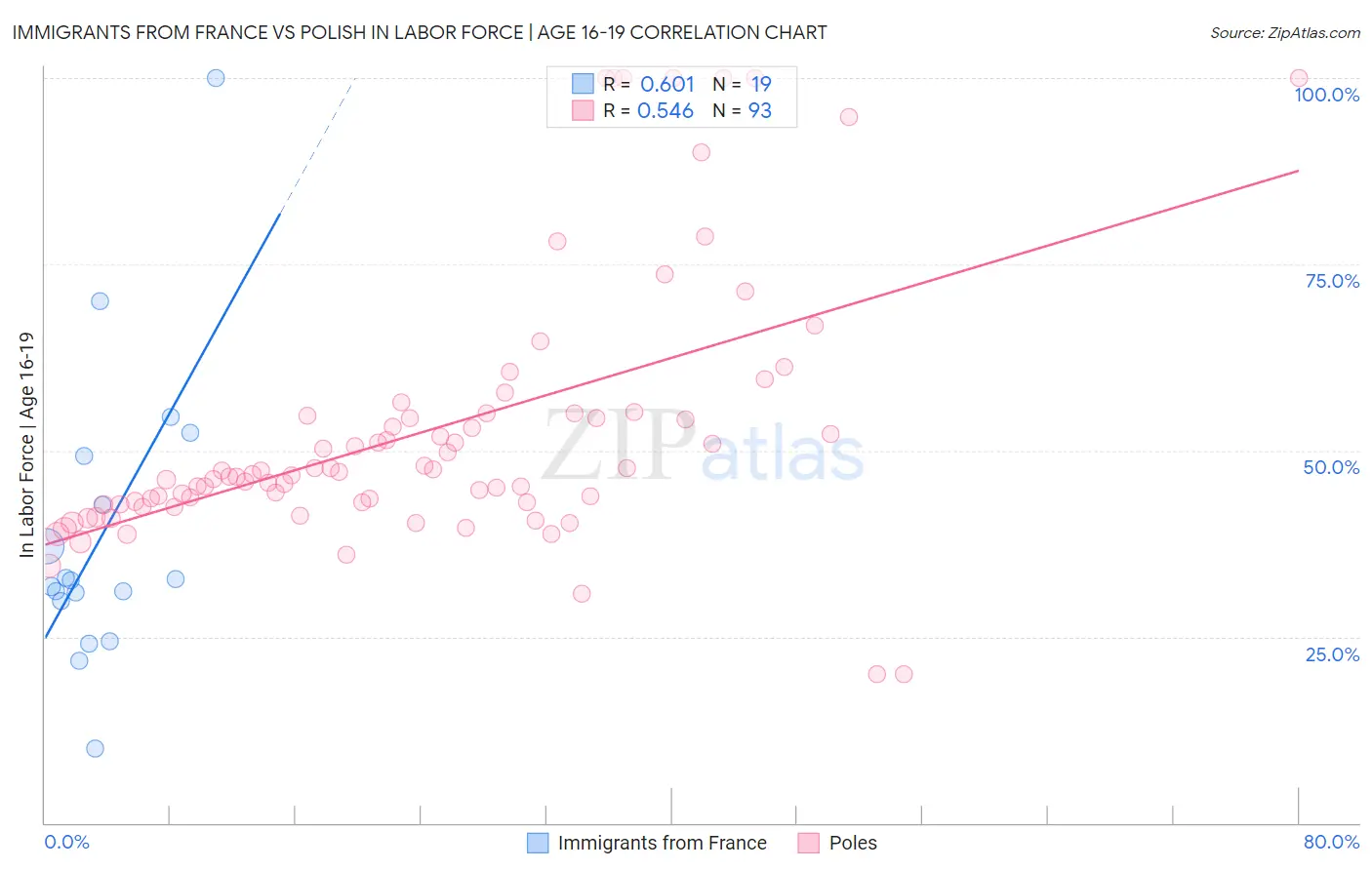 Immigrants from France vs Polish In Labor Force | Age 16-19