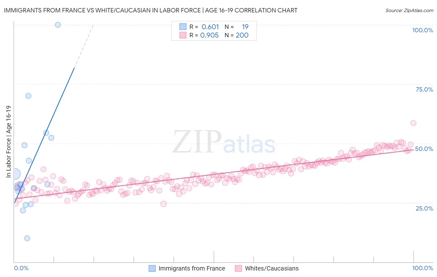 Immigrants from France vs White/Caucasian In Labor Force | Age 16-19