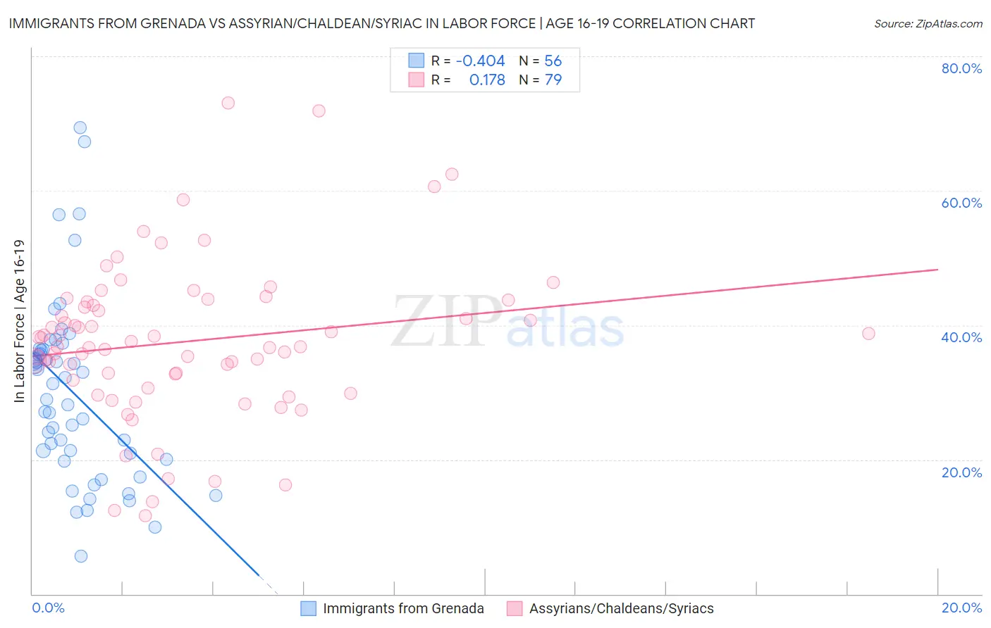 Immigrants from Grenada vs Assyrian/Chaldean/Syriac In Labor Force | Age 16-19