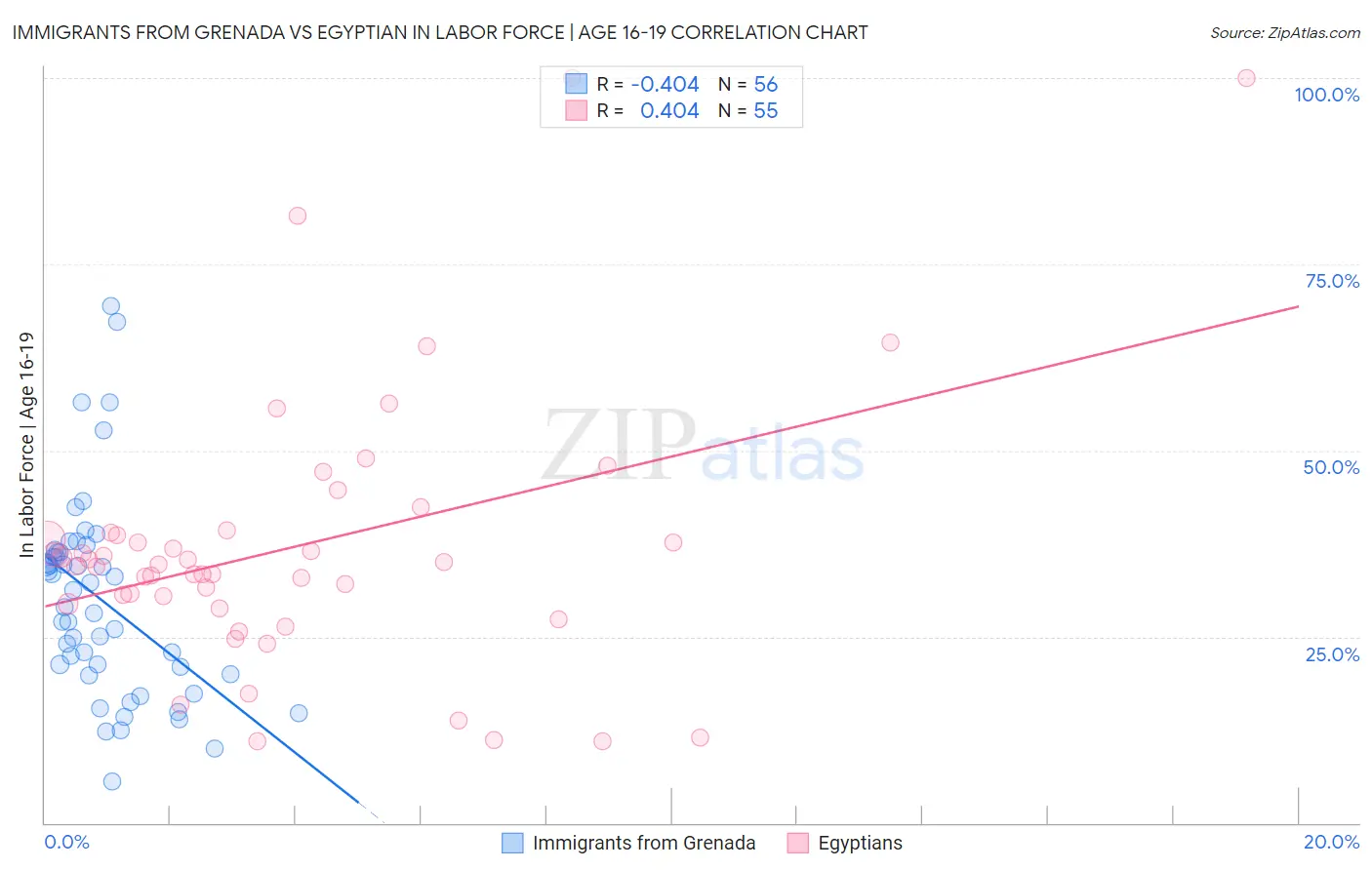 Immigrants from Grenada vs Egyptian In Labor Force | Age 16-19