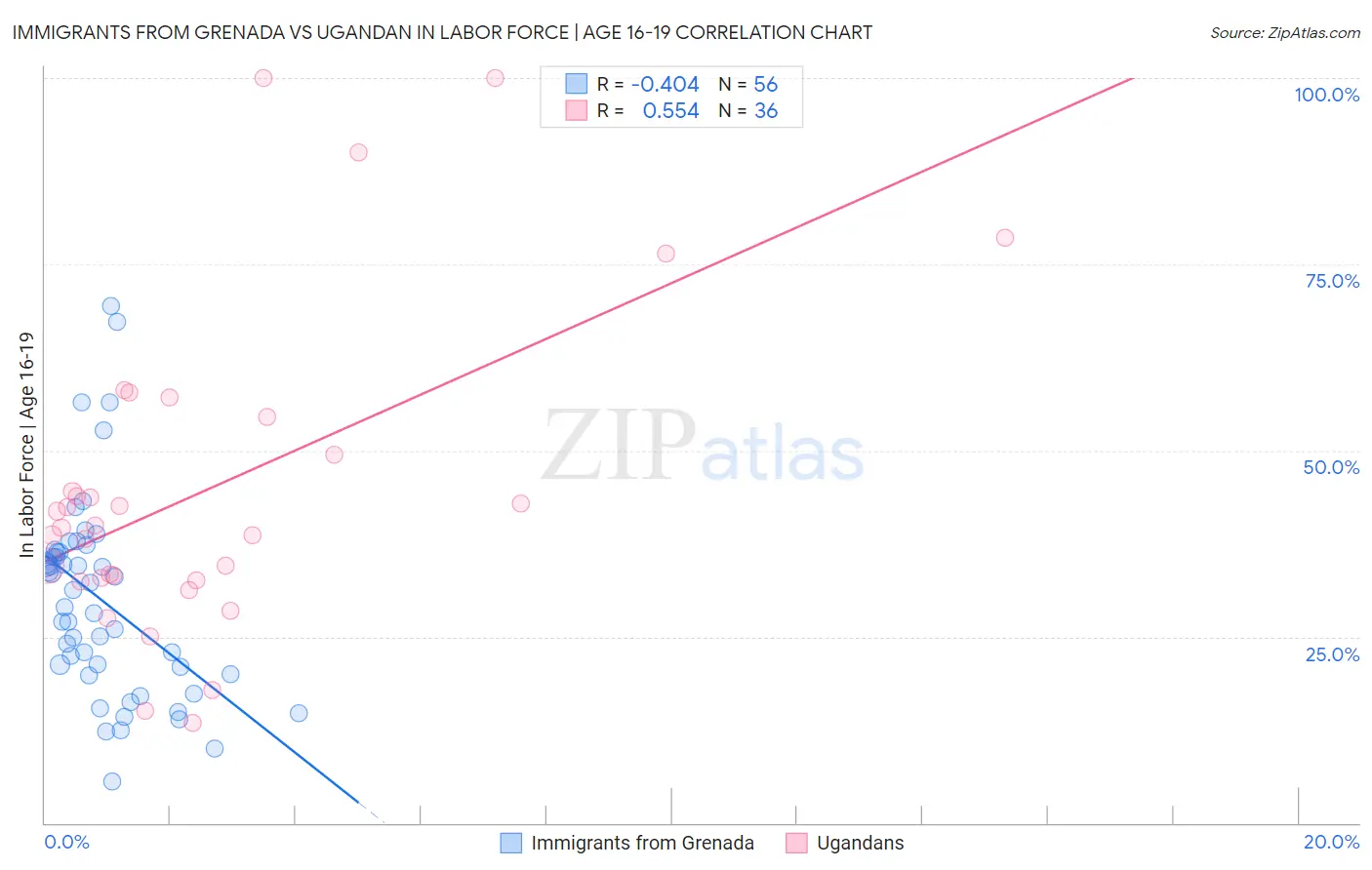 Immigrants from Grenada vs Ugandan In Labor Force | Age 16-19