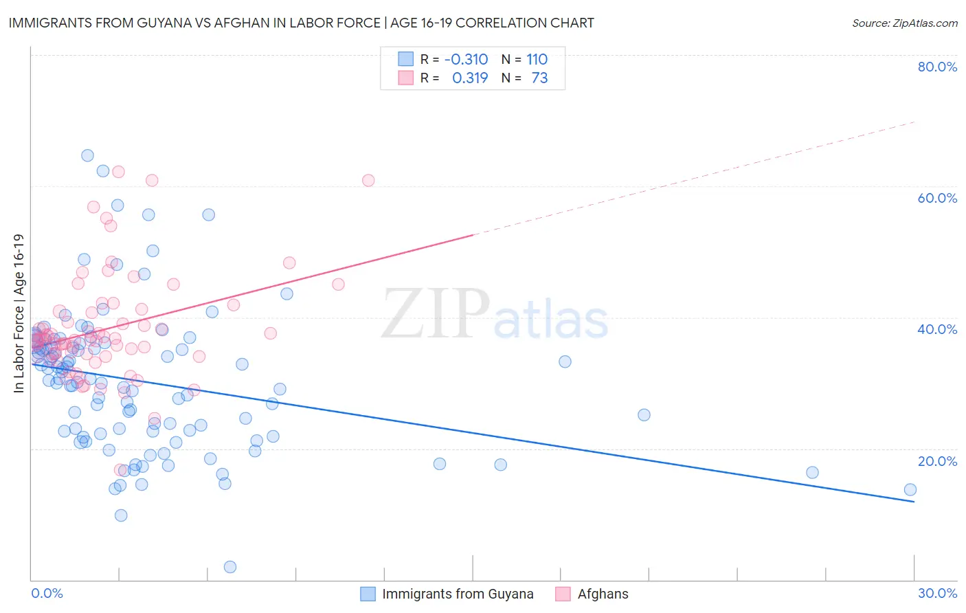 Immigrants from Guyana vs Afghan In Labor Force | Age 16-19