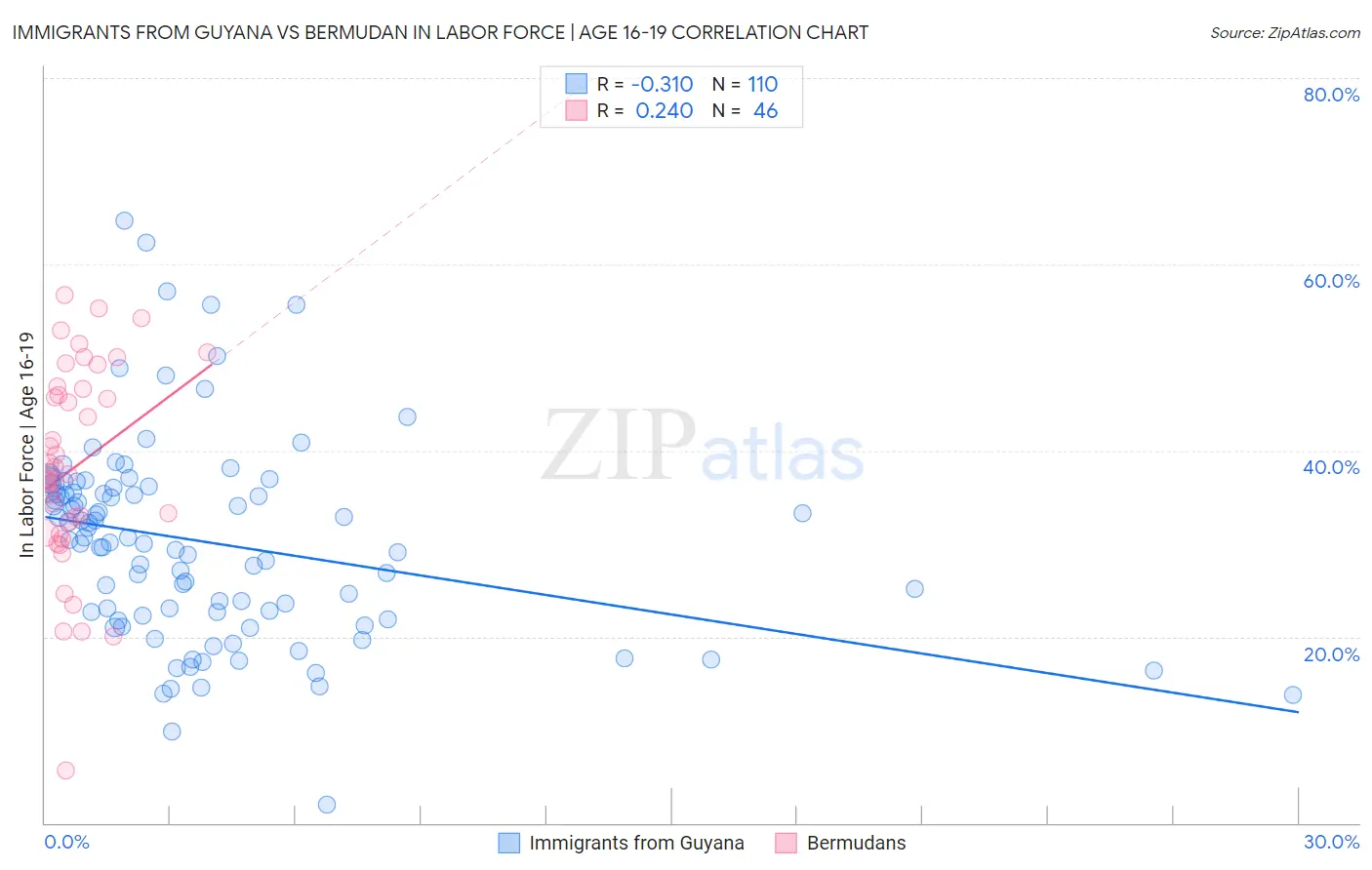 Immigrants from Guyana vs Bermudan In Labor Force | Age 16-19