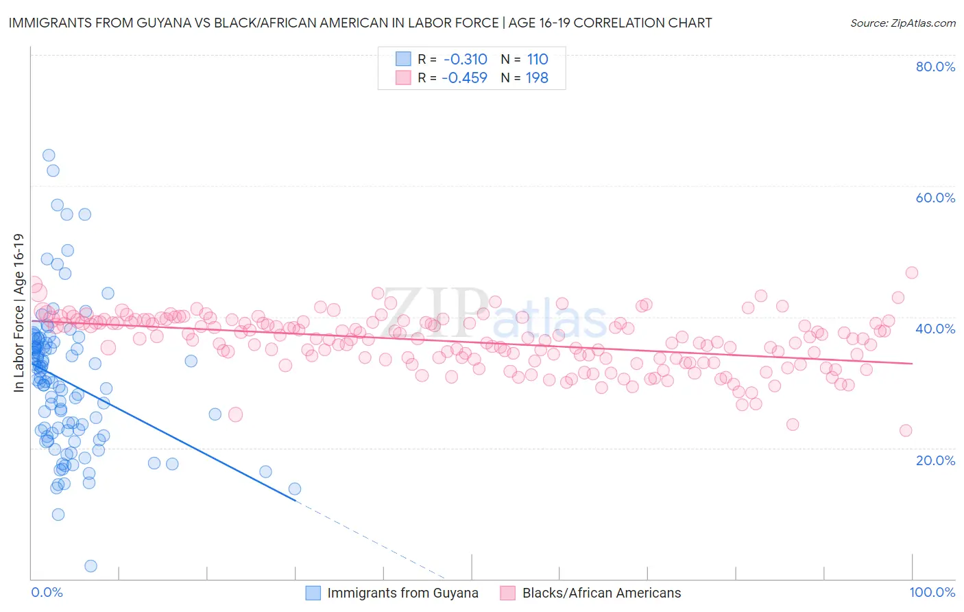 Immigrants from Guyana vs Black/African American In Labor Force | Age 16-19