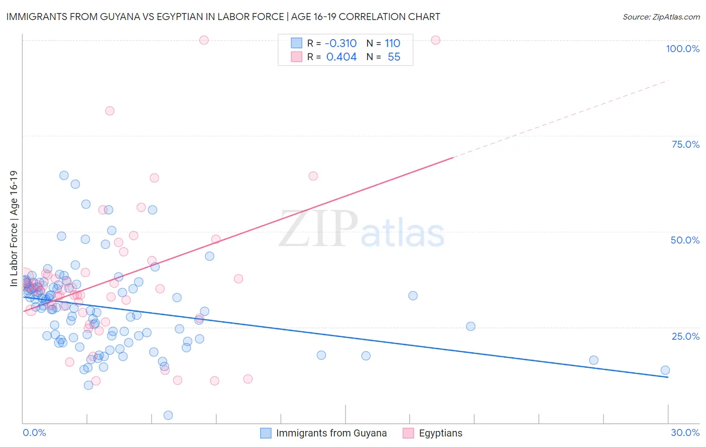 Immigrants from Guyana vs Egyptian In Labor Force | Age 16-19