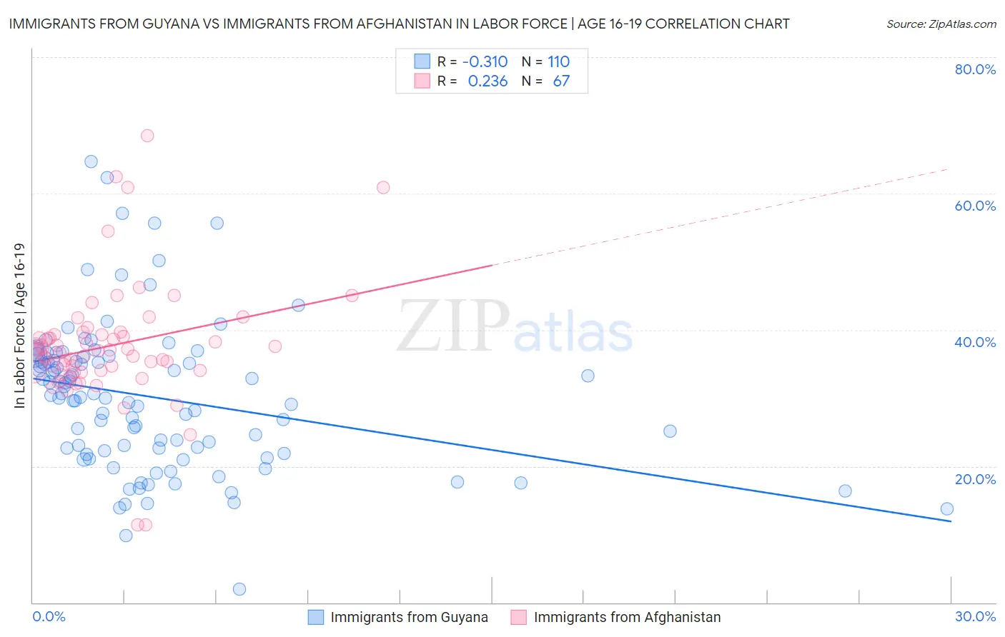 Immigrants from Guyana vs Immigrants from Afghanistan In Labor Force | Age 16-19
