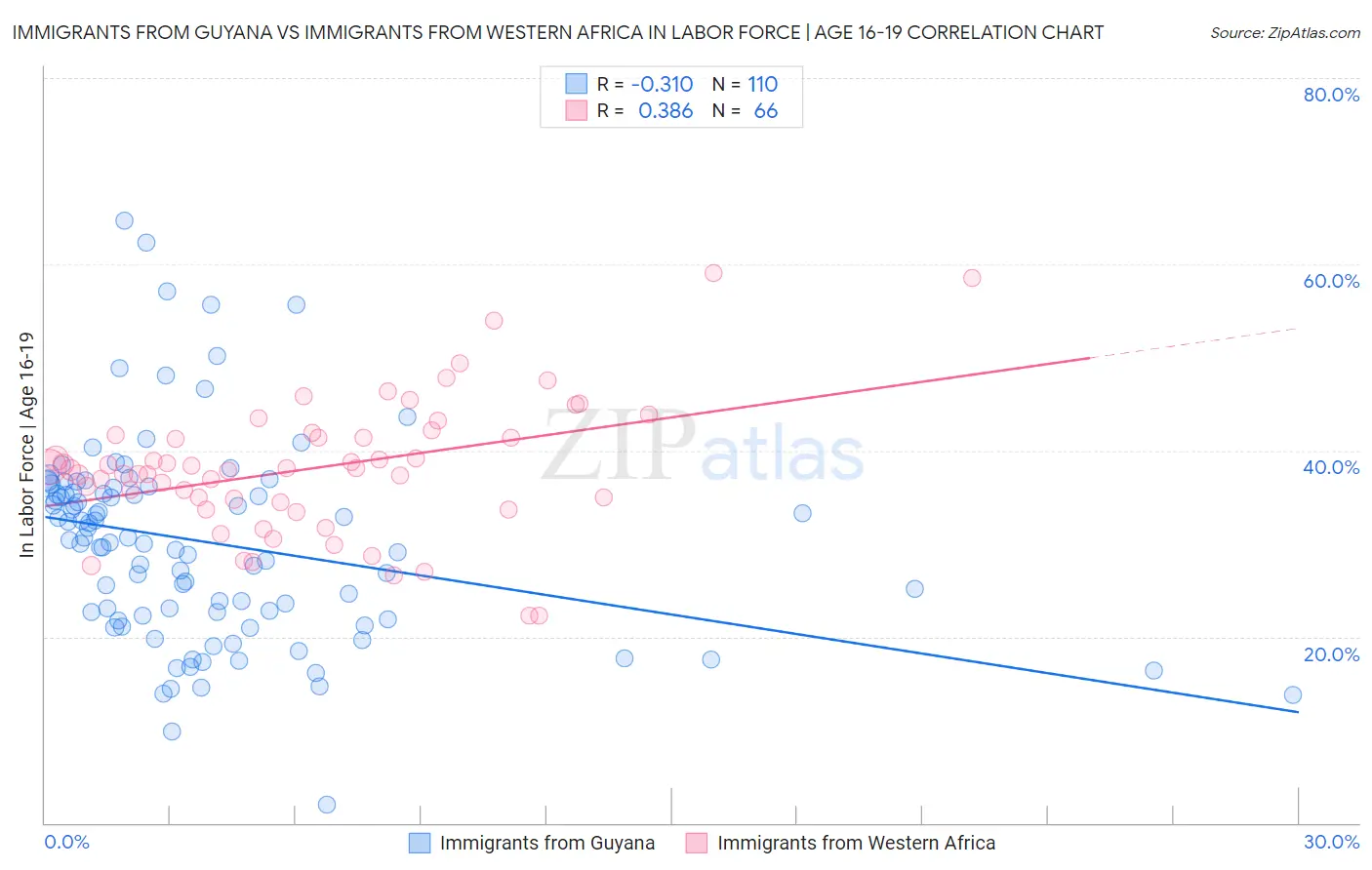 Immigrants from Guyana vs Immigrants from Western Africa In Labor Force | Age 16-19