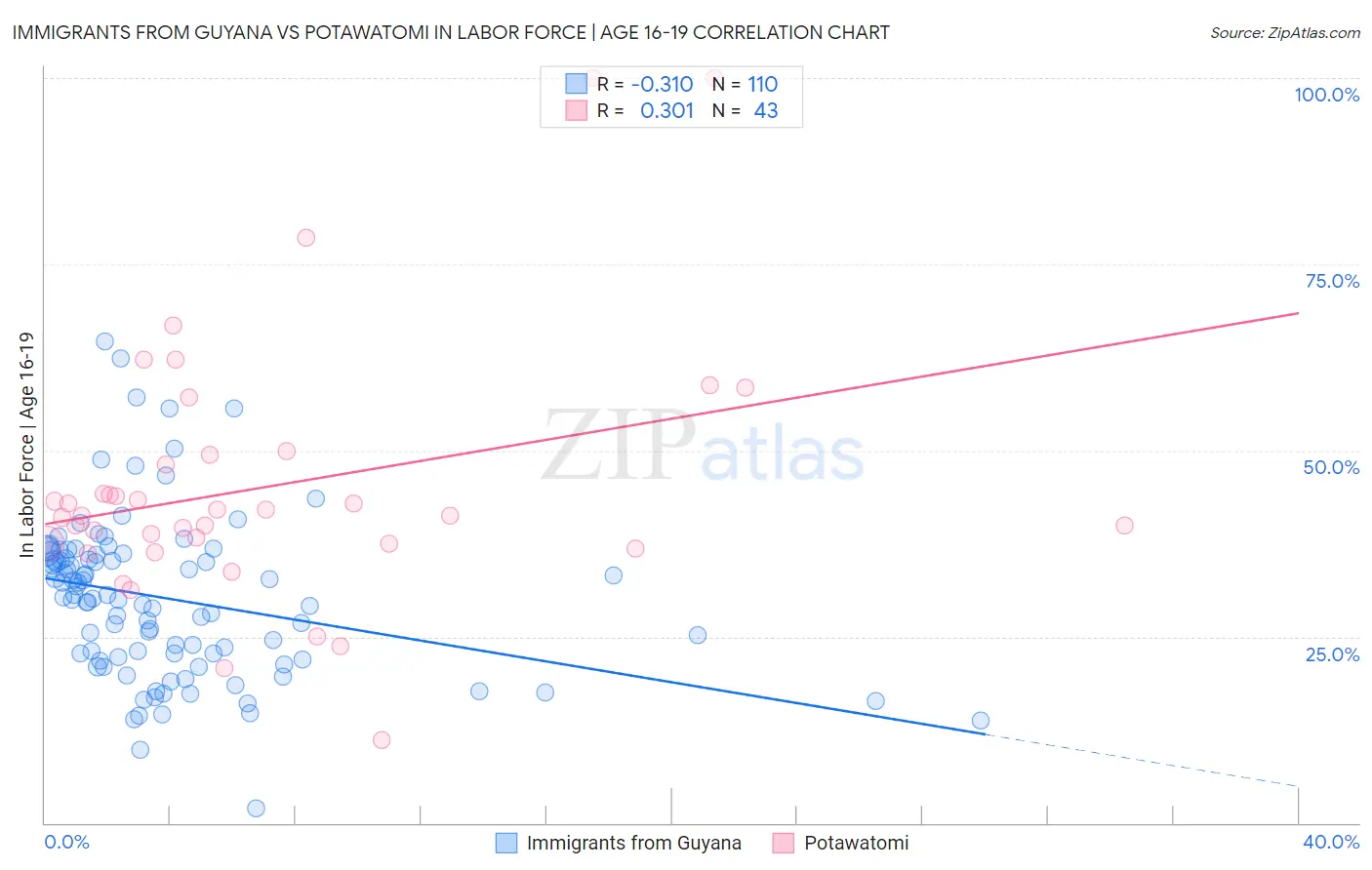 Immigrants from Guyana vs Potawatomi In Labor Force | Age 16-19