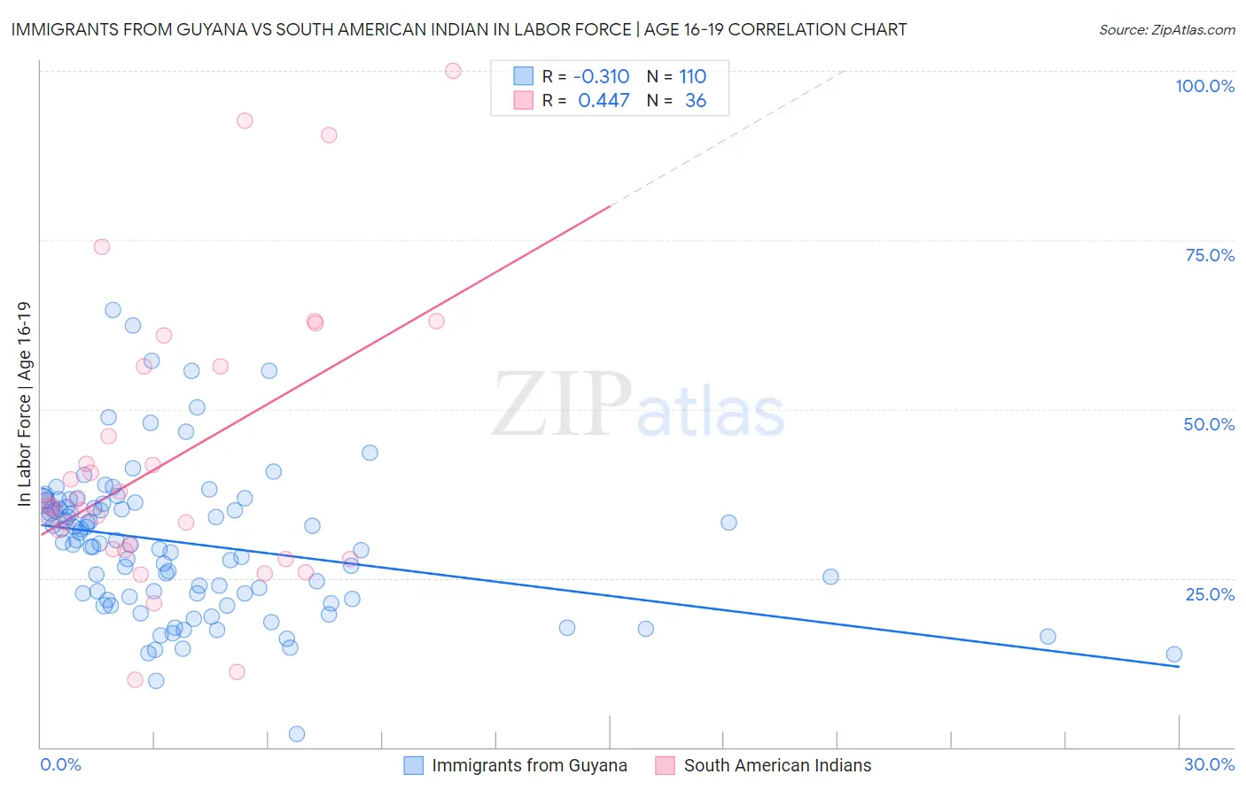 Immigrants from Guyana vs South American Indian In Labor Force | Age 16-19