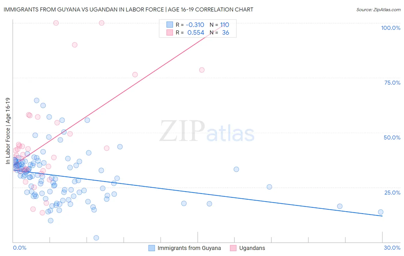 Immigrants from Guyana vs Ugandan In Labor Force | Age 16-19