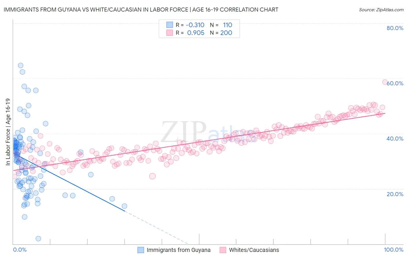 Immigrants from Guyana vs White/Caucasian In Labor Force | Age 16-19