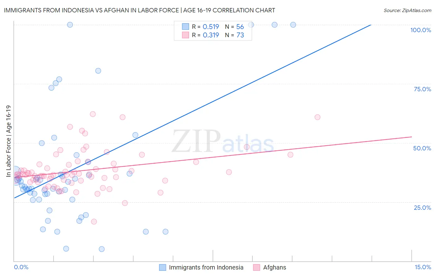 Immigrants from Indonesia vs Afghan In Labor Force | Age 16-19