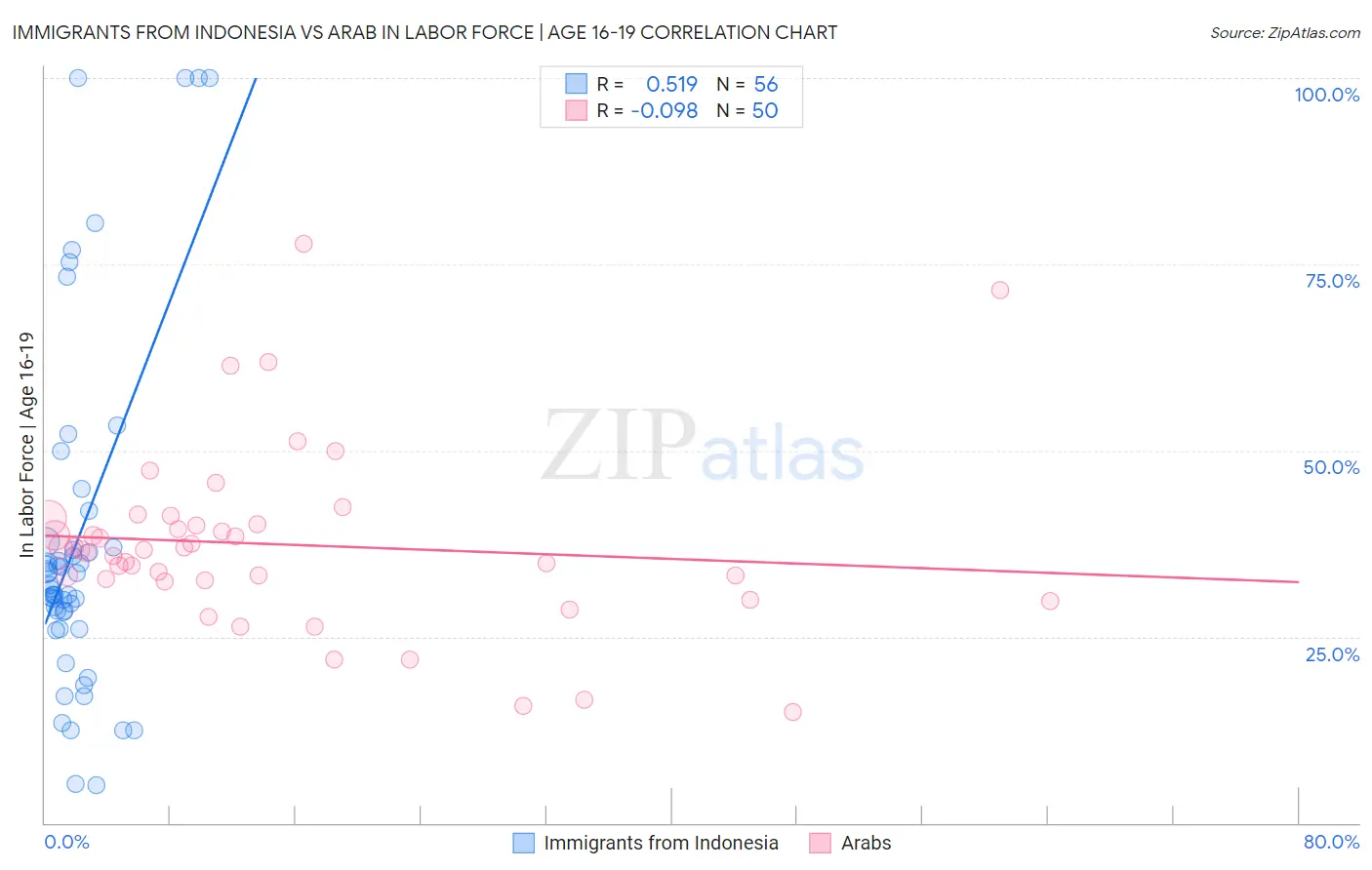 Immigrants from Indonesia vs Arab In Labor Force | Age 16-19