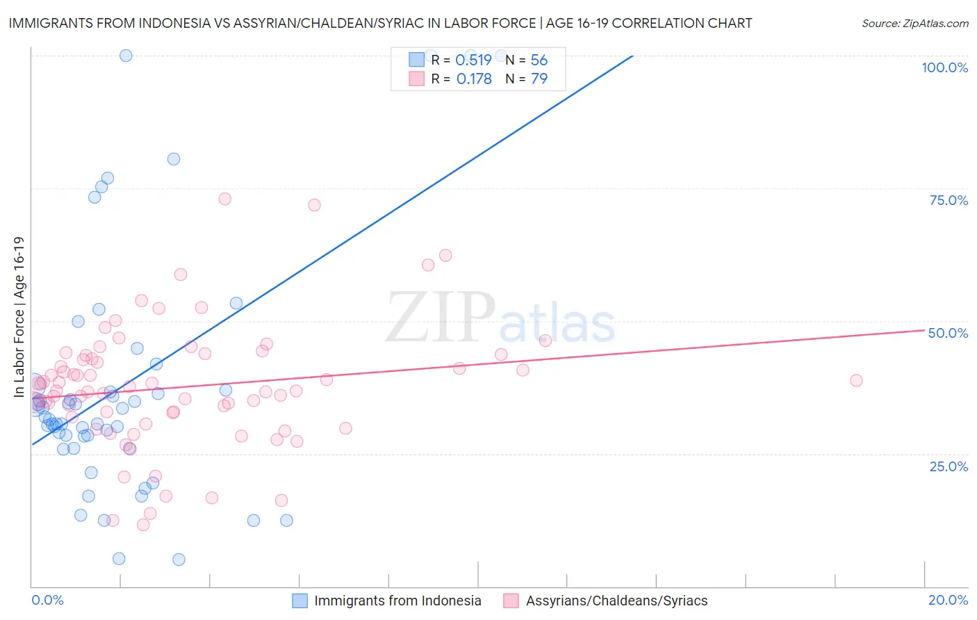 Immigrants from Indonesia vs Assyrian/Chaldean/Syriac In Labor Force | Age 16-19